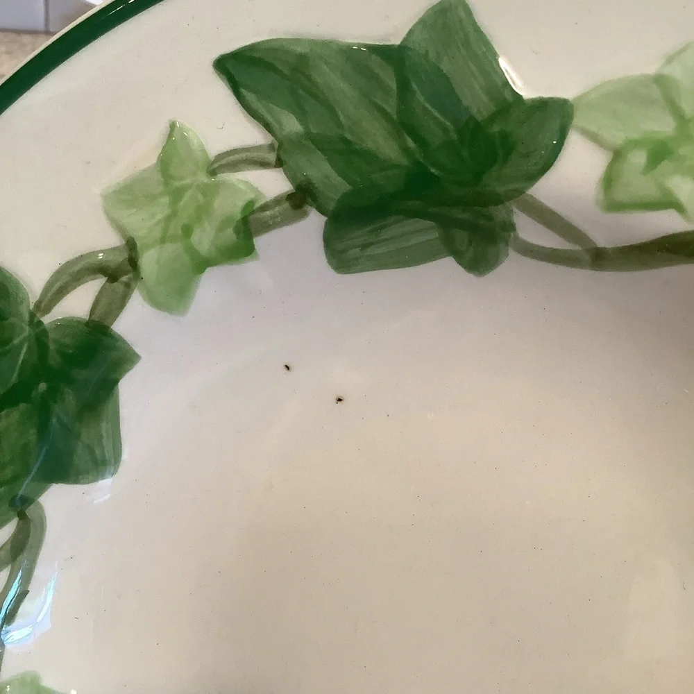 One Franciscan Ivy 8.5” Rimmed Soup Bowl USA California Earthenware